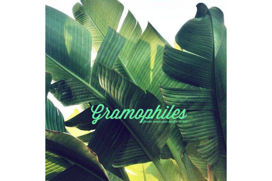 Gramophiles Gramophiles