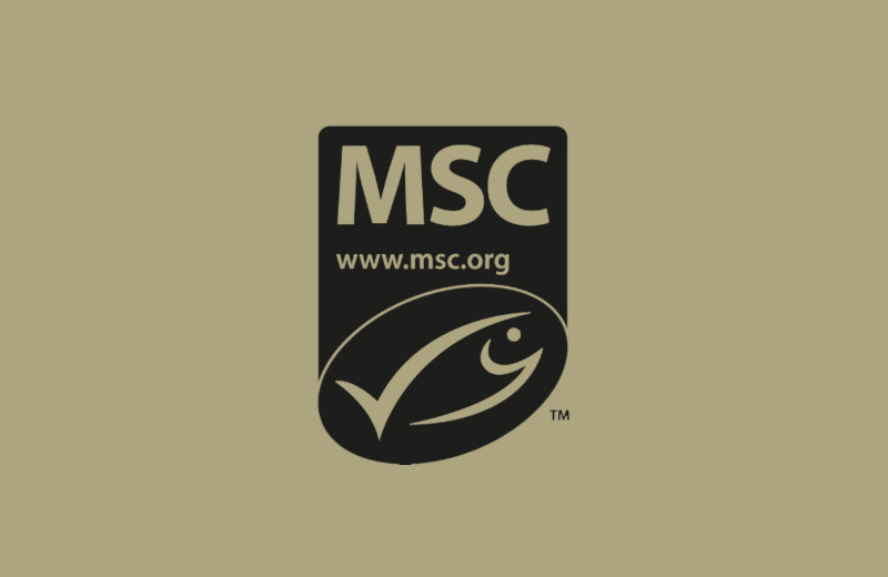 MSC MSC
