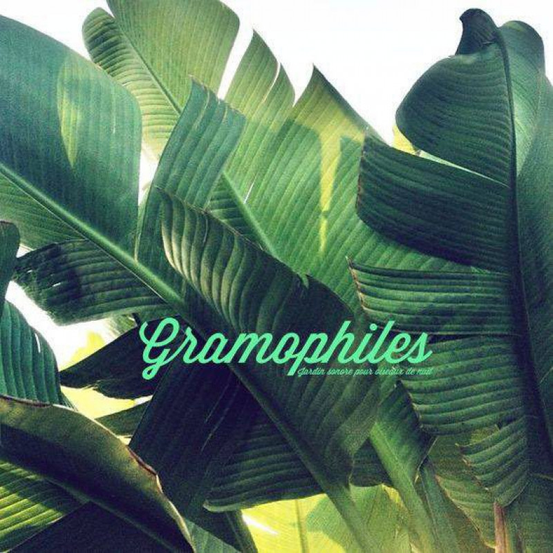 Gramophiles Gramophiles
