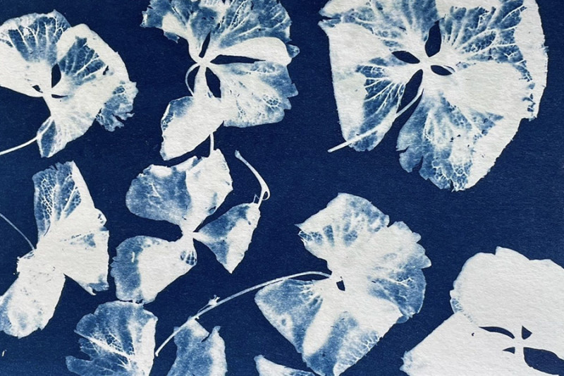 CYANOTYPE & YOGA WORKSHOP CYANOTYPE & YOGA WORKSHOP