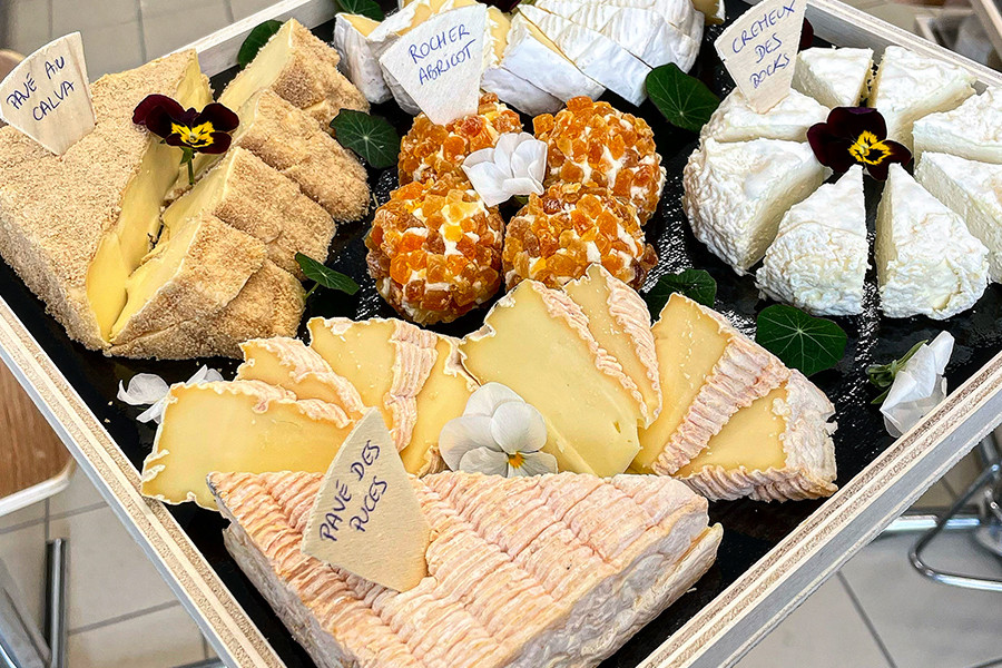 Cheese and wine tasting Cheese and wine tasting