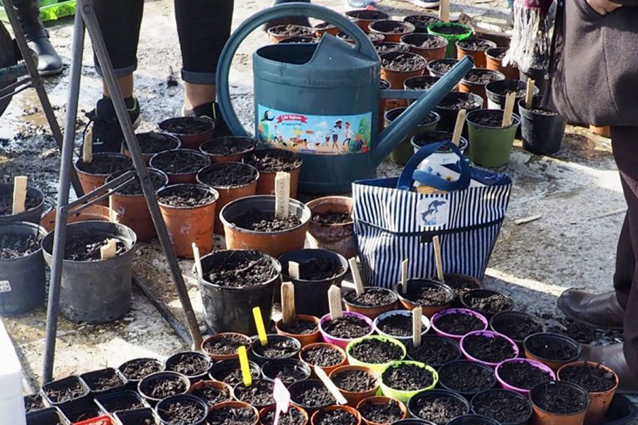 Discovery workshop of aromatic plants for adults Discovery workshop of aromatic plants for adults