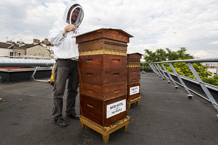 HIVES ON THE ROOF ! HIVES ON THE ROOF !