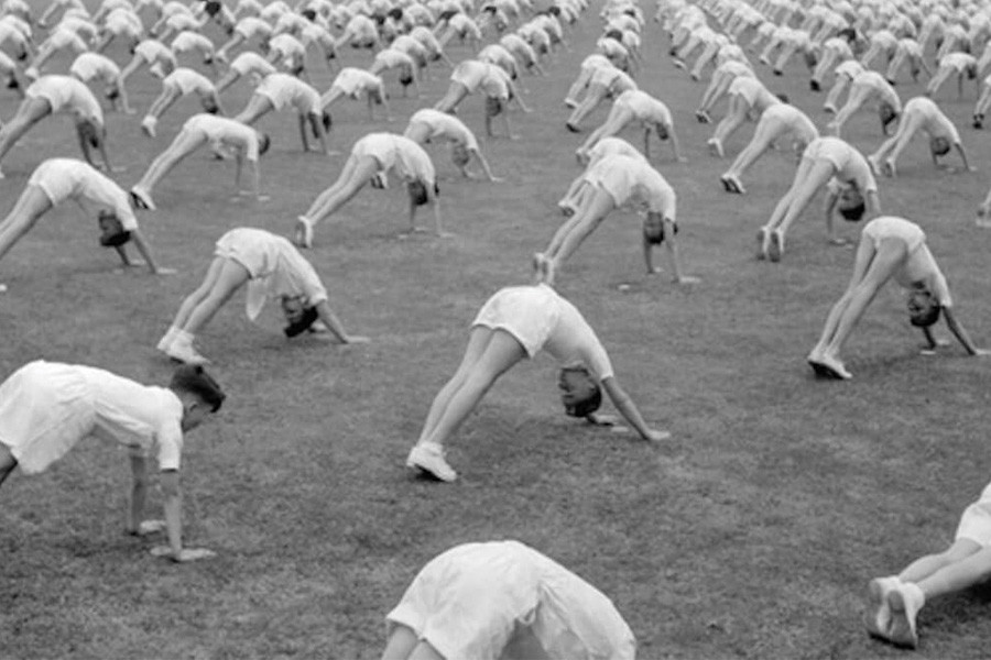 LE VINYASA DE NINA LE VINYASA DE NINA
