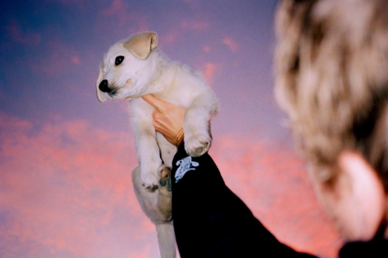 Puppy'n Yoga Puppy'n Yoga