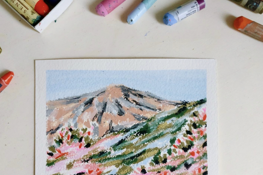 Atelier pastel avec Claire Ginestoux Atelier pastel avec Claire Ginestoux