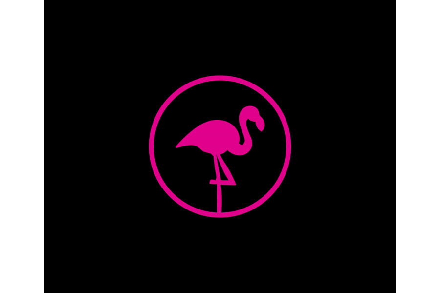 Flamingo Spark Flamingo Spark