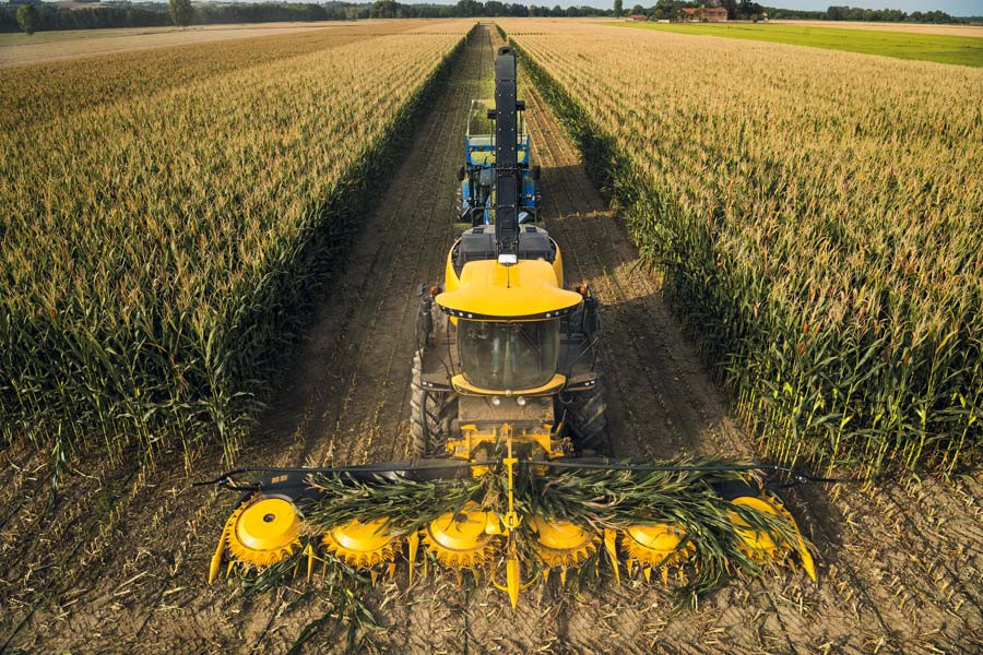 Conferences - Industrial breeding or the future of our food? Conferences - Industrial breeding or the future of our food?