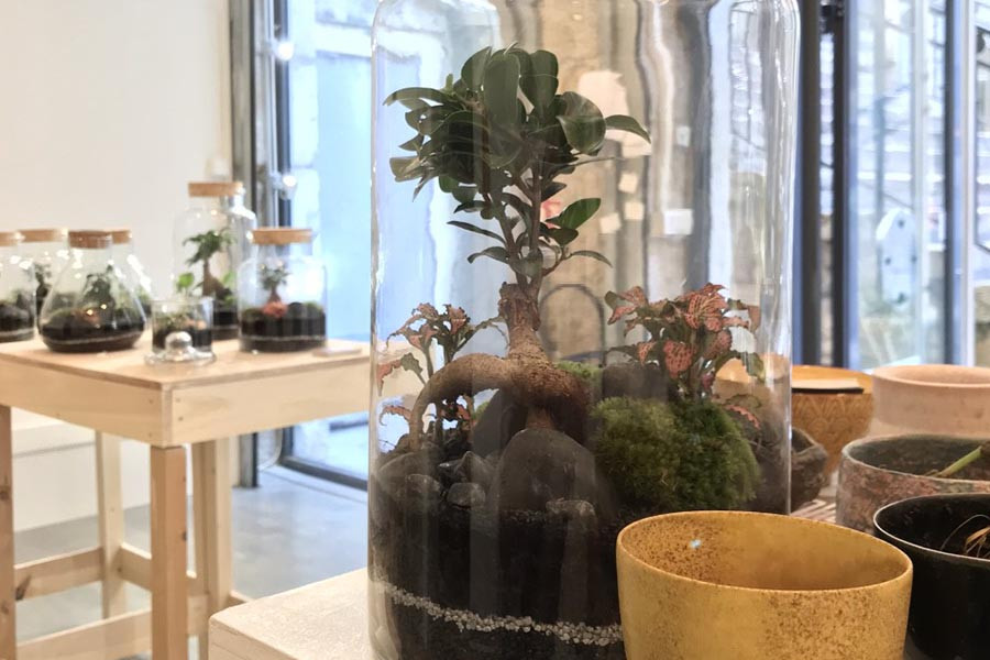 Terrarium Workshop Terrarium Workshop